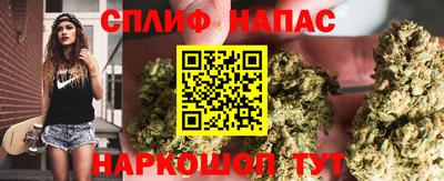прущие грибы Изобильный
